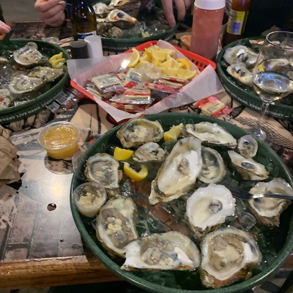 Meet your Posher, Catdog - Picture 4 of 16